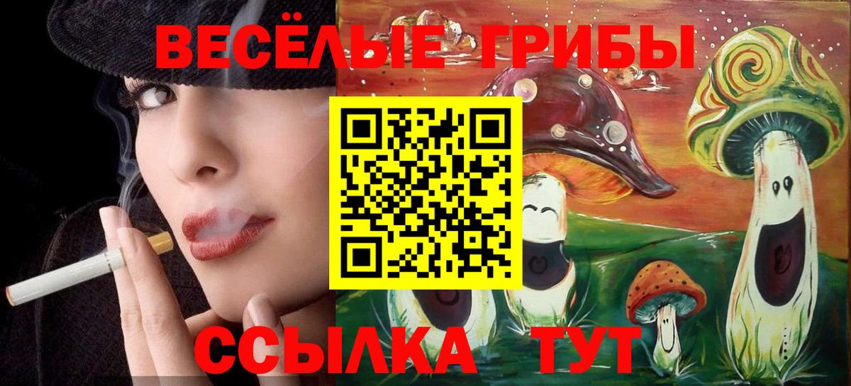 Псилоцибиновые грибы Psilocybe Касимов