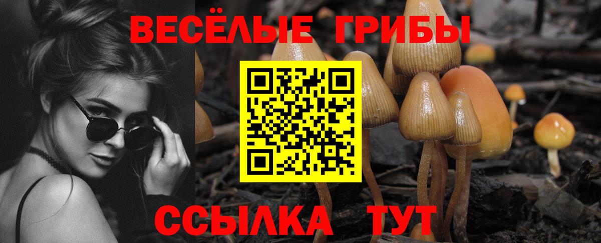 Касимов  Галлюциногенные грибы Cubensis  Вход с VPN  Галлюциногенные грибы мухоморы 